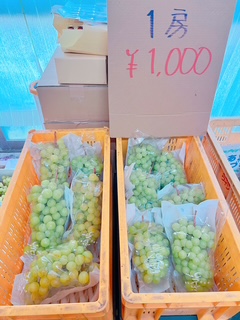 特売シャイン